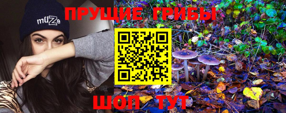 Галлюциногенные грибы GOLDEN TEACHER Якутск