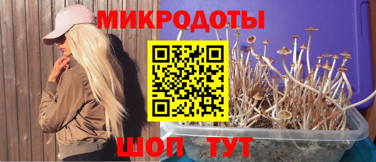 Якутск  Псилоцибиновые грибы мицелий  Псилоцибиновые грибы GOLDEN TEACHER  Вход с VPN 
